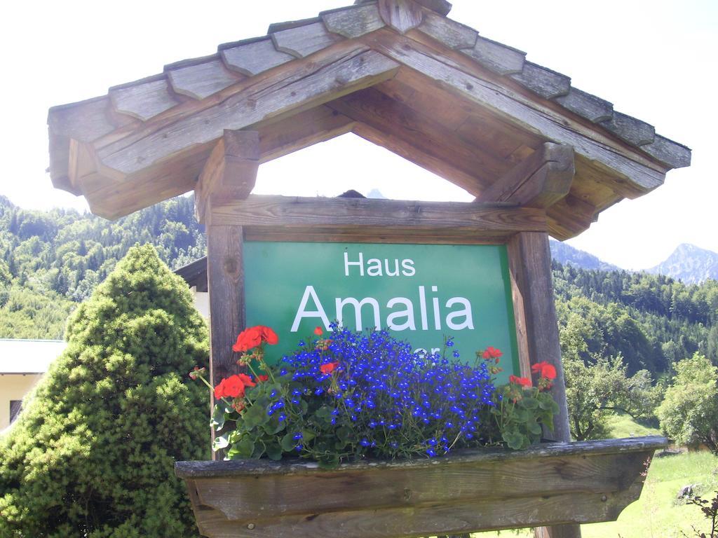 Bed and Breakfast Haus Amalia Strobl Exteriér fotografie
